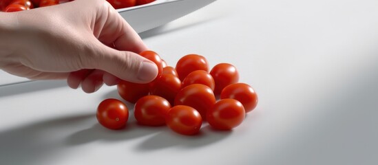 Holding cherry tomatoes in hands white background