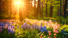 Beautiful Natural Spring Landscape With A Colorful Field Of Hyacinth Flowers Against The Backdrop Of Forest And Sun. Generative Ai