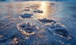 Close-up of animal footprints preserved in the frozen surface of a lake