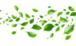 Green leaves flying in the wind vector illustration on white background