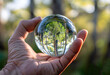 A hand holds a glass sphere containing a green tree inside, symbolizing sustainable development, eco-friendly living, and environmental protection.