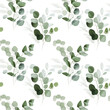 Seamless pattern with eucalyptus branch on white background. Watercolor botanical herbal illustration for prints
