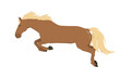 vector illustration of a running and jumping horse in brown color isolated on a white background. The theme of equestrian sports, training and animal husbandry. 