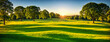 Beautiful green meadow with trees at sunrise, banner. Natural summer background, nature landscape wallpaper. Created using generative AI tools