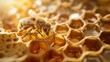 Bee inside a hive surrounded by intricate honeycombs.