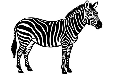 zebra silhouette vector illustration