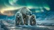 Polar bear mother and cubs stroll on snowy landscape under the aurora borealis