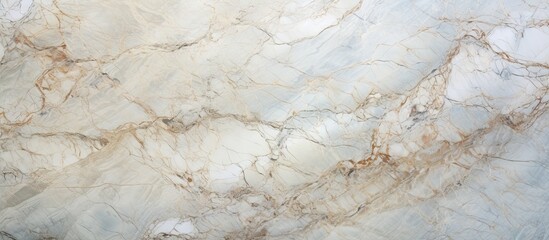 Wall Mural - Marble slab in close-up showcasing intricate patterns and textures of the smooth surface