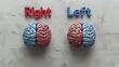 Two human brains, one colored in red with the word 'Right' and the other in blue with 'Left', symbolizing the ideological divide in politics and thought processes.