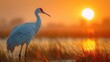African Crane With Red Head, Wildlife From Botswana Africa. Big Bird in the Nature Habitat - Generative AI