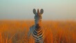 Africa Fog Morning.  Adult Zebra Standing In Forest. Zebra With Yellow Golden Grass - Generative AI