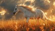 A white Horse gallops through a Grassland at sunset in a Natural landscape