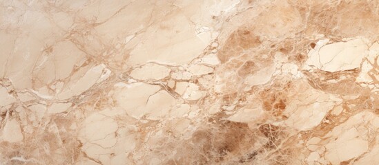 Wall Mural - A detailed shot showcasing the intricate patterns of a brown and beige marble texture, resembling the natural beauty of wood and limestone