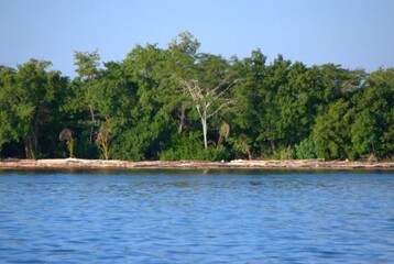 Paisajes de playa,costas,arena,palmeras,mucho sol y mucho relax.