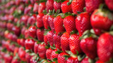 Una pared de fresas jugosas y coloridas, fruta saludable y ecológica