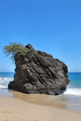 Paisajes de playa,costas,arena,palmeras,mucho sol y mucho relax.