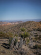 Nevada desert in Lake Mead National Recreation Area with yucca cactus and colorful cliffs