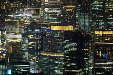 Wall Mural - Tokyo Skyline at night