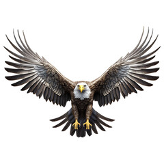 Flying eagle isolated on transparent background