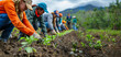 Community garden teamwork planting young seedlings in fertile soil