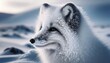A close-up of an Arctic fox with a thick, white coat, partially covered in snowflakes, looking intently into the distance.