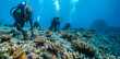 Divers planting coral on the reef to promote marine life regeneration