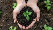 A close-up shot of a person's hands holding a handful of rich, dark soil, with a small seedling ready to be planted 