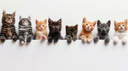 The row of tops of heads of cats and dogs with paws raised across a blank white sign.