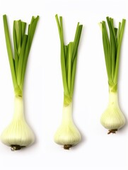 Wall Mural - Three green onions are shown in a row