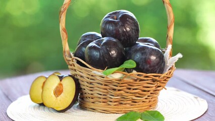 Wall Mural - Fresh Black Plum fruit in Bamboo basket on wooden table in garden, Fresh Black Plum with slices on blurred greenery background.