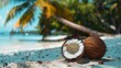 A coconut sits atop the sandy beach, blending with the serene surroundings
