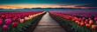 Beautiful panoramic night colorful tulips field landscape with wooden path nature banner poster background backdrop from Generative AI