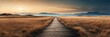 Beautiful panoramic night dried grass lands landscape with wooden path nature banner poster background backdrop from Generative AI