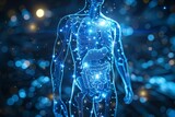 Fototapeta  - 3D Illustration : Human digestive system anatomy on blue color medical background