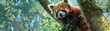Energetic Red Panda cub, tree climbing, high angle, lush greenery, spirited expression , high resolution