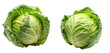 cabbage on transparent background, element remove background