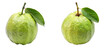 guava on transparent background, element remove background