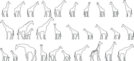 Wall Mural - giraffe sketch vector, elegant, wildlife, art, minimalist, detailed, majestic, nature, animal kingdo
