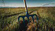 Fork stuck in field, hoe, farming, cultivating, plowing, hay