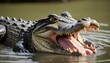An Alligator With Its Mouth Agape Emitting A Low