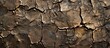 © pngking - A detailed image showcasing the intricate pattern of a cracked brown bedrock wall. The composite material highlights the fault lines and woodlike texture of the rock outcrop