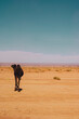 Wild camel on a sahara desert sand and blue sky. Africa. Vertical