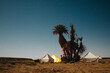 A desert camp made of bedouin tents in an oasis on Sahara desert Morocco