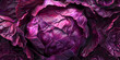 Raw red cabbage leaves purple texture of vegetables purple leaves and background