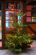 Beleuchteter Weihnachtsbaum am Weihnachtsmarkt, Paderborn, Westfalen, Nordrhein-Westfalen, Deutschland, Europa