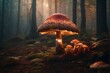 Enormous, stunning mushroom in the fantasy forest