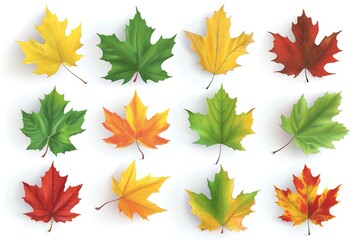 Canvas Print - Set of autumn maple leaves on a white background. 