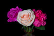 Three Lovely Pink and Red Flowers arranged against a black background