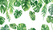 Tropical plants green leaves of creepers 
