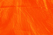 Orange feather phoenix texture pattern for hot background and other